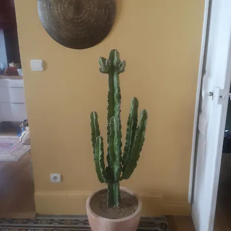 Apartman Bourgeois 2 4 Pers Centre *