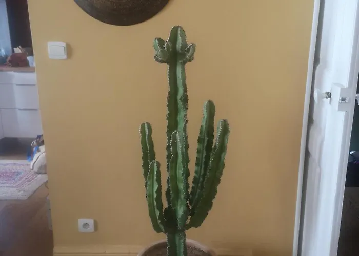 Διαμέρισμα Bourgeois 2 4 Pers Centre *